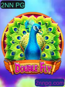 Explorando o Mundo de DoubleFly: Um Guia Completo